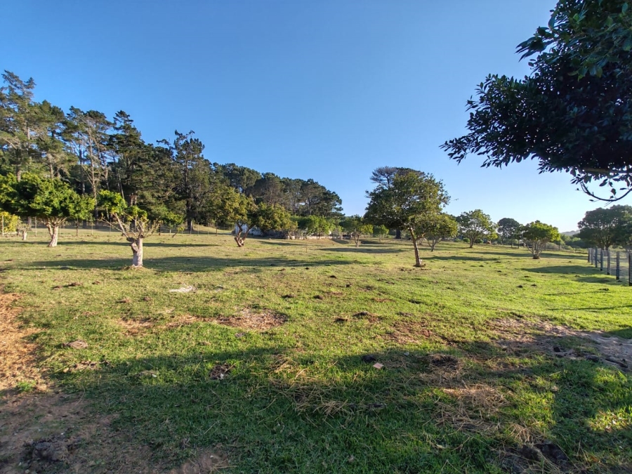 Commercial Property for Sale in Colleen Glen Eastern Cape